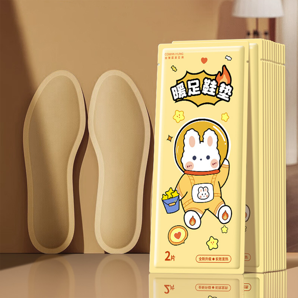 1 회 발 워머 온열 깔창, 부직포 원단, 충전식 발  - Heated Insole Rechargeable 리뷰 및 가격